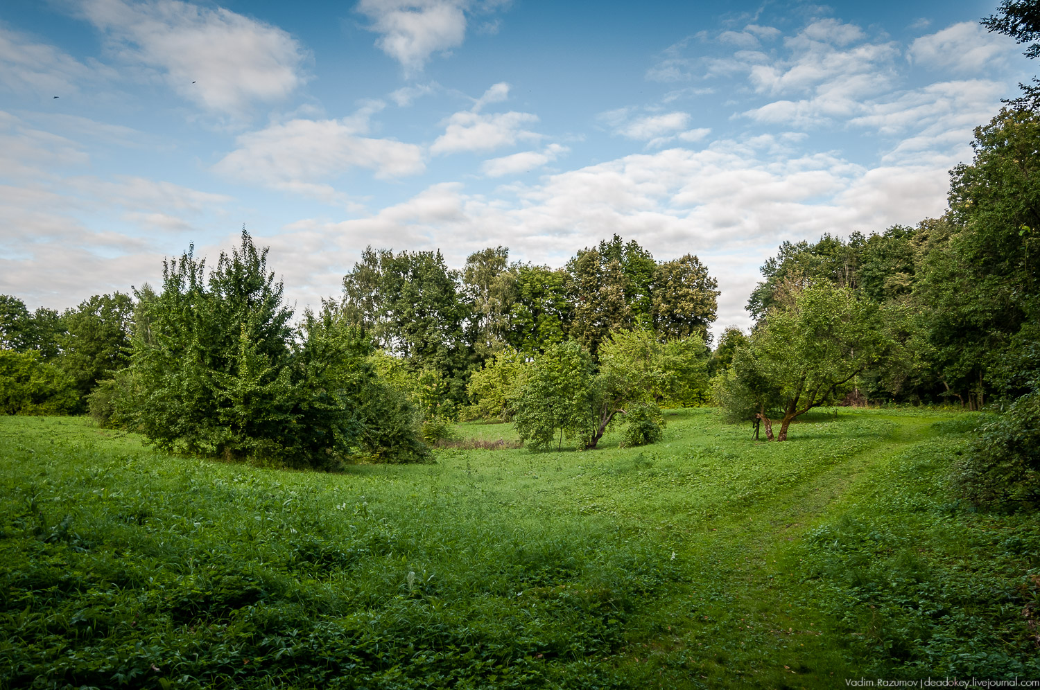 усадьба Даровое, Зарайский район, Ф.М. Достоевский