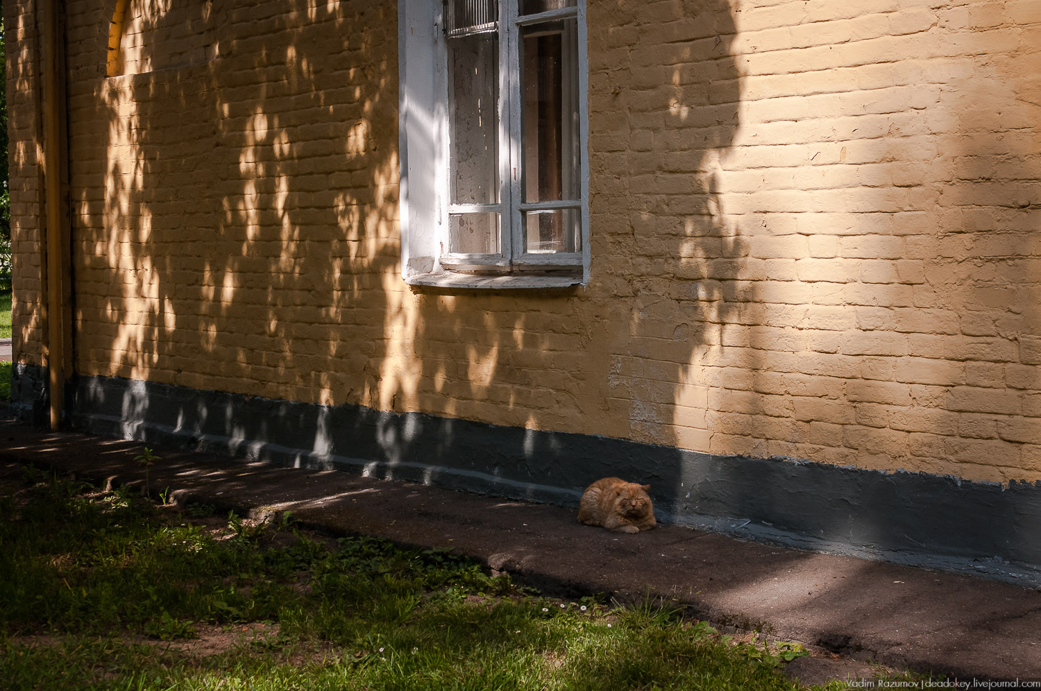 усадьба Валуево в мае
