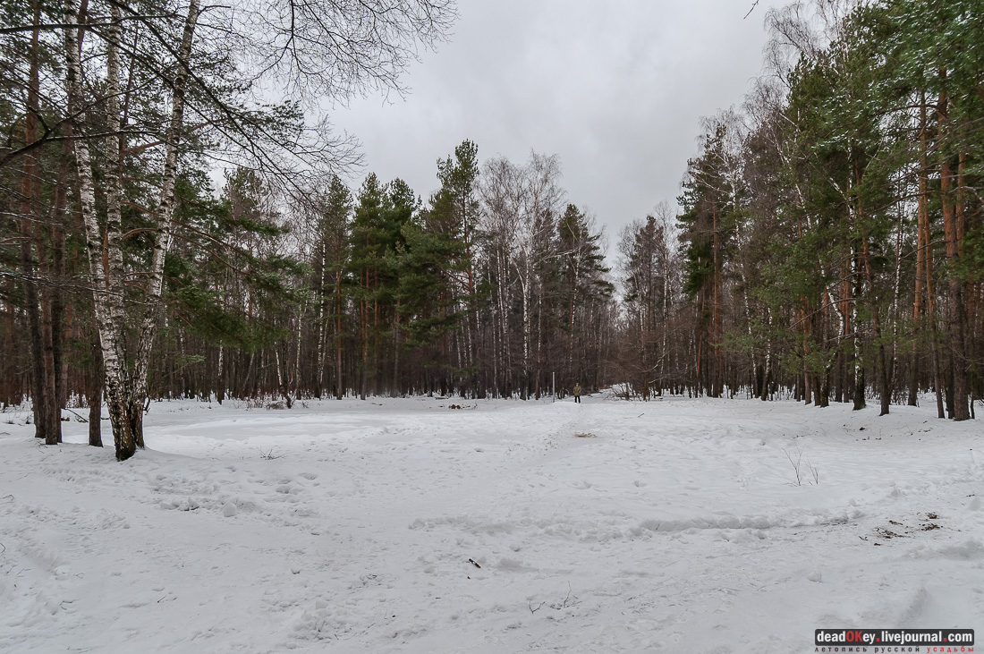 Вокруг Кусково