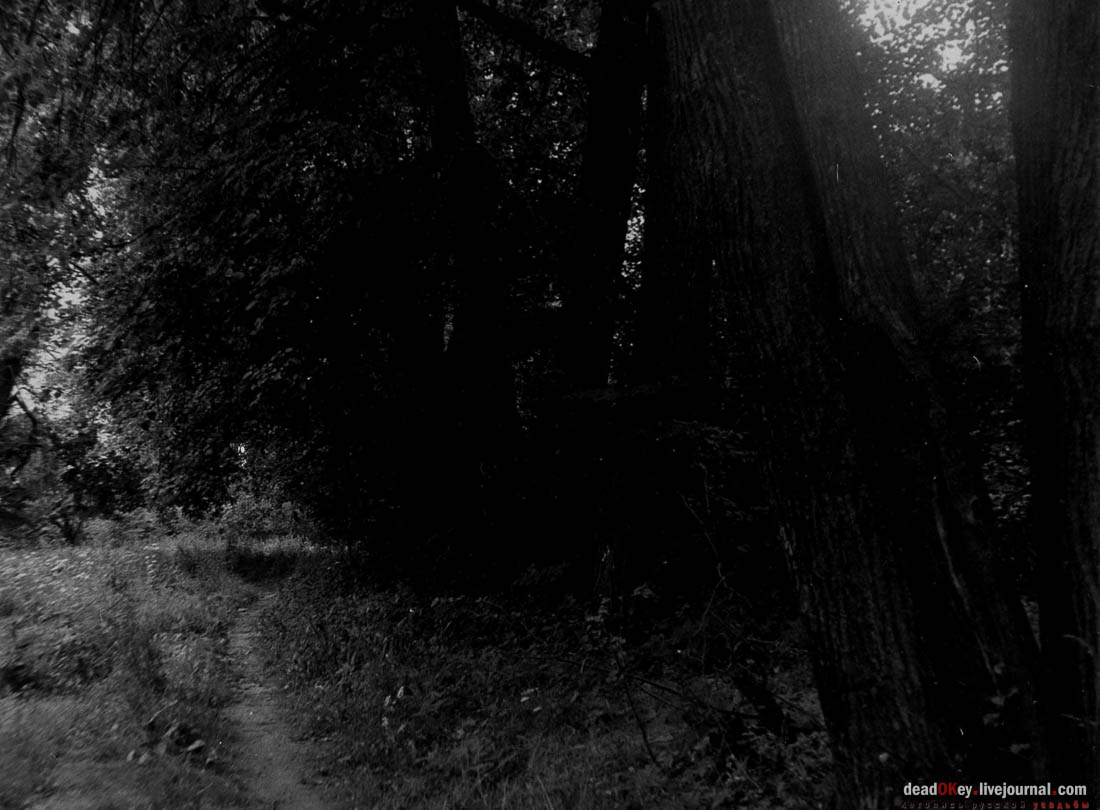 усадьба Васино