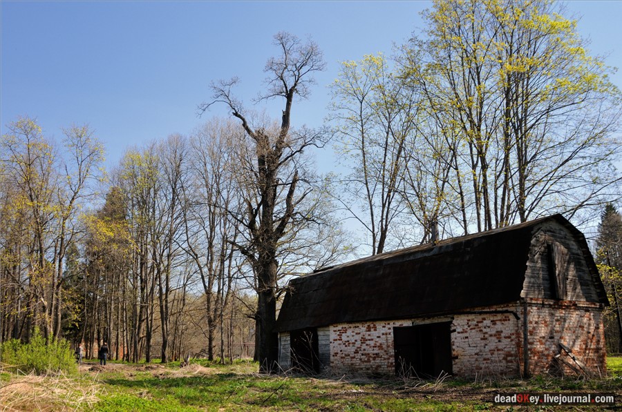 усадьба Андреевское-Туркино (Перематкино)