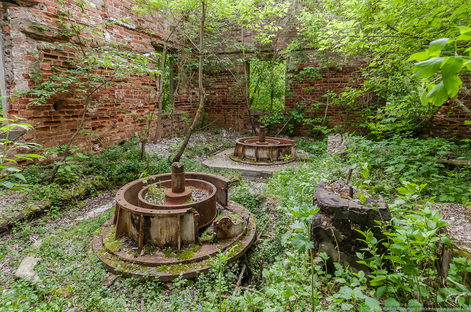 Усадебный экспресс. Рязанская область. Железная история