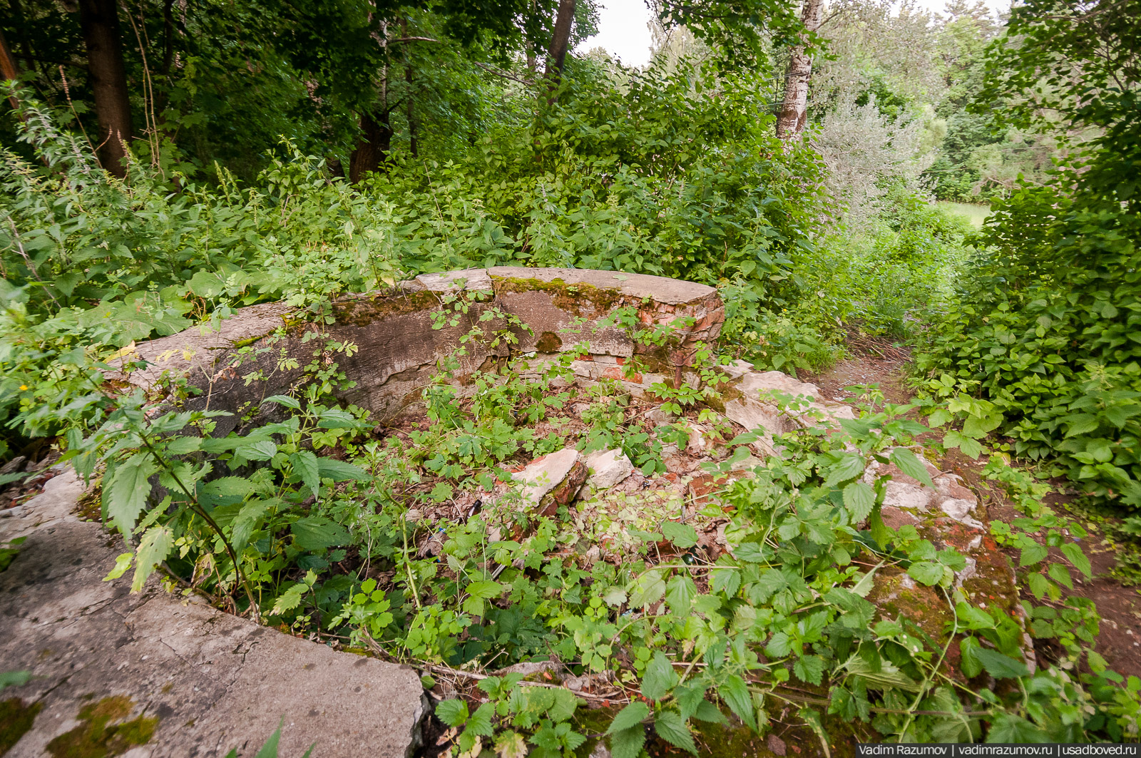 усадьба Колосово Пасхаловых, Тульская область, Алексинский район