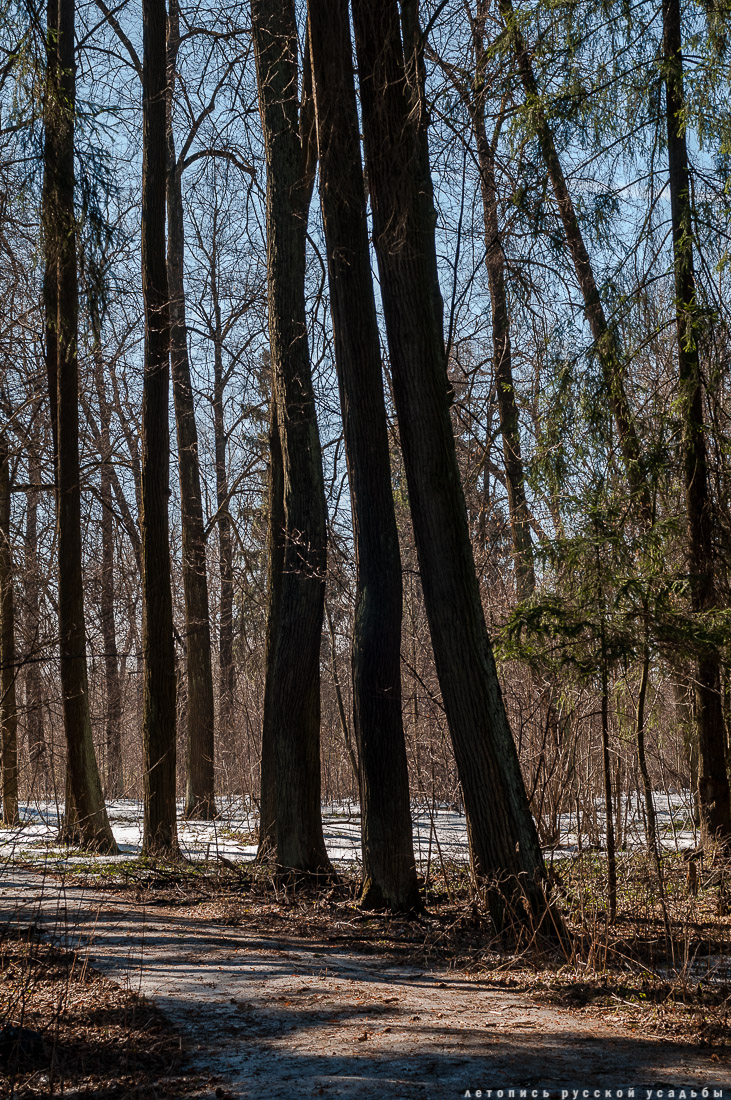усадьба Доброе