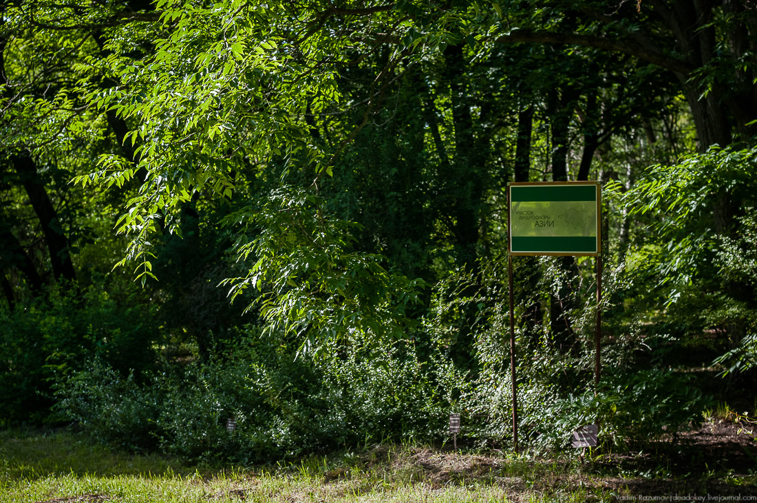 усадьба Барсуково