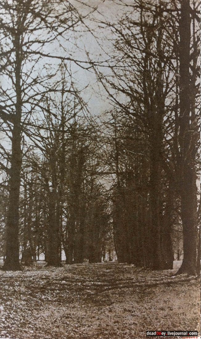 Усадьба Стародуб