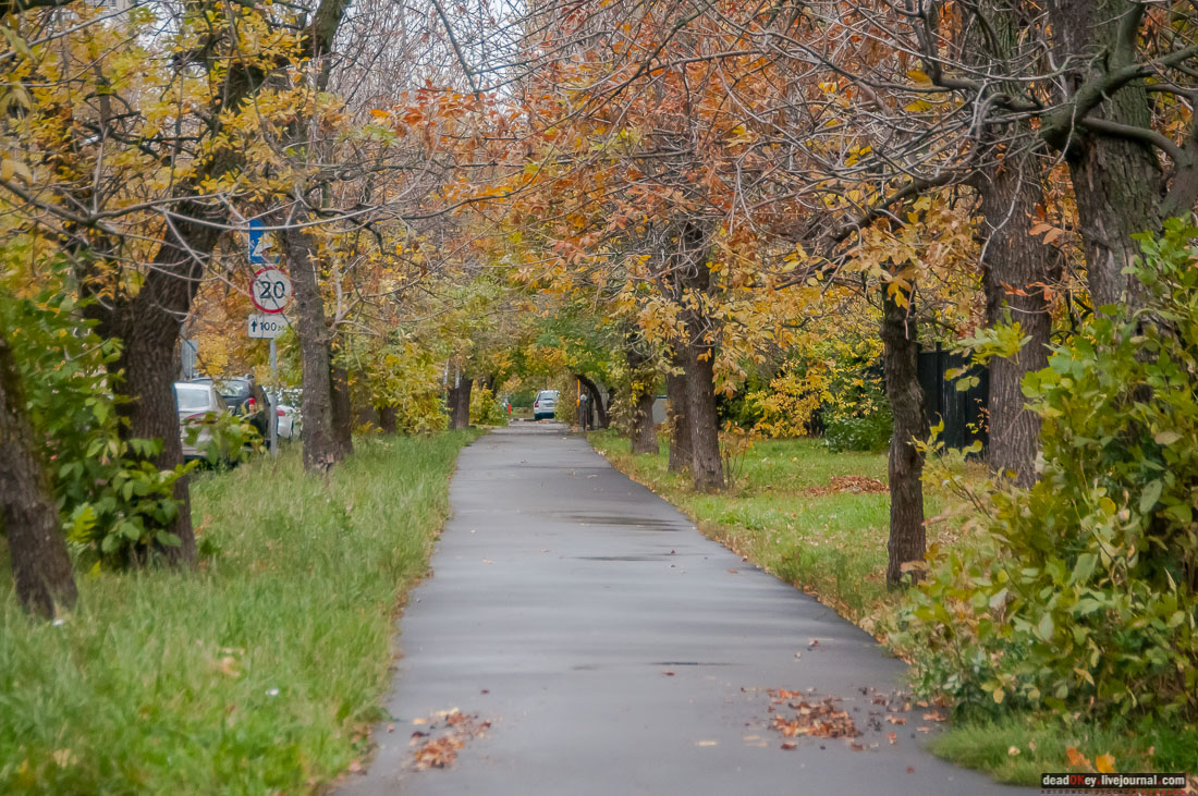 кооперативный поселок Сокол, поселок художников, Москва