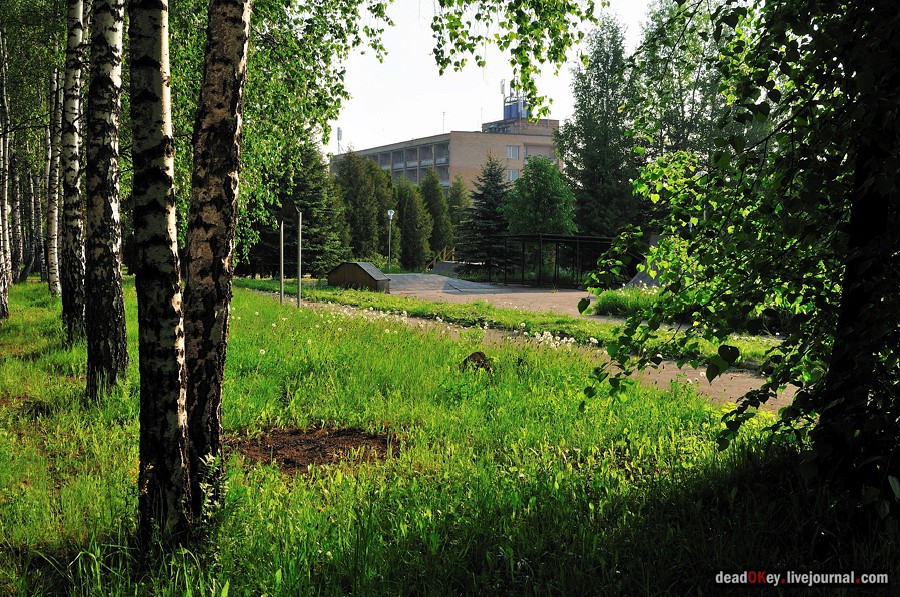 усадьба Богословское-Могильцы