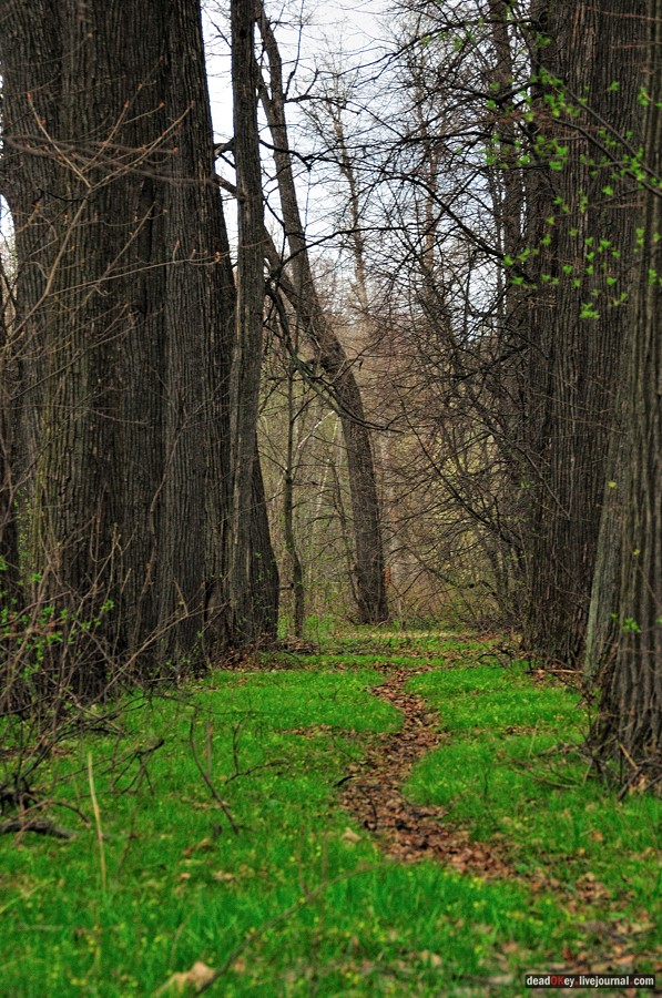 усадьба Антипино