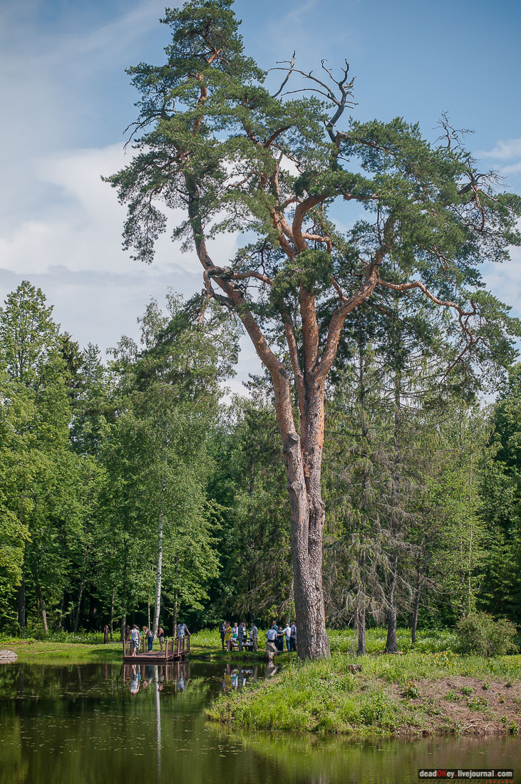 усадьба Знаменское-Раек, Тверская область, Новоторжский район