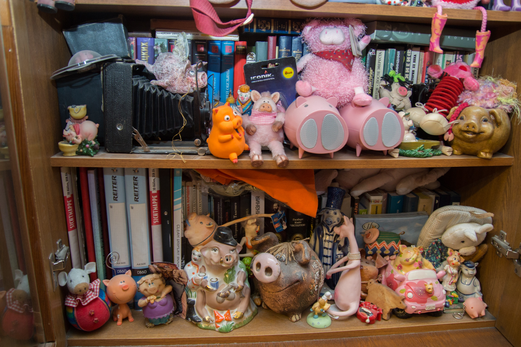 Свиньи, музей свиней