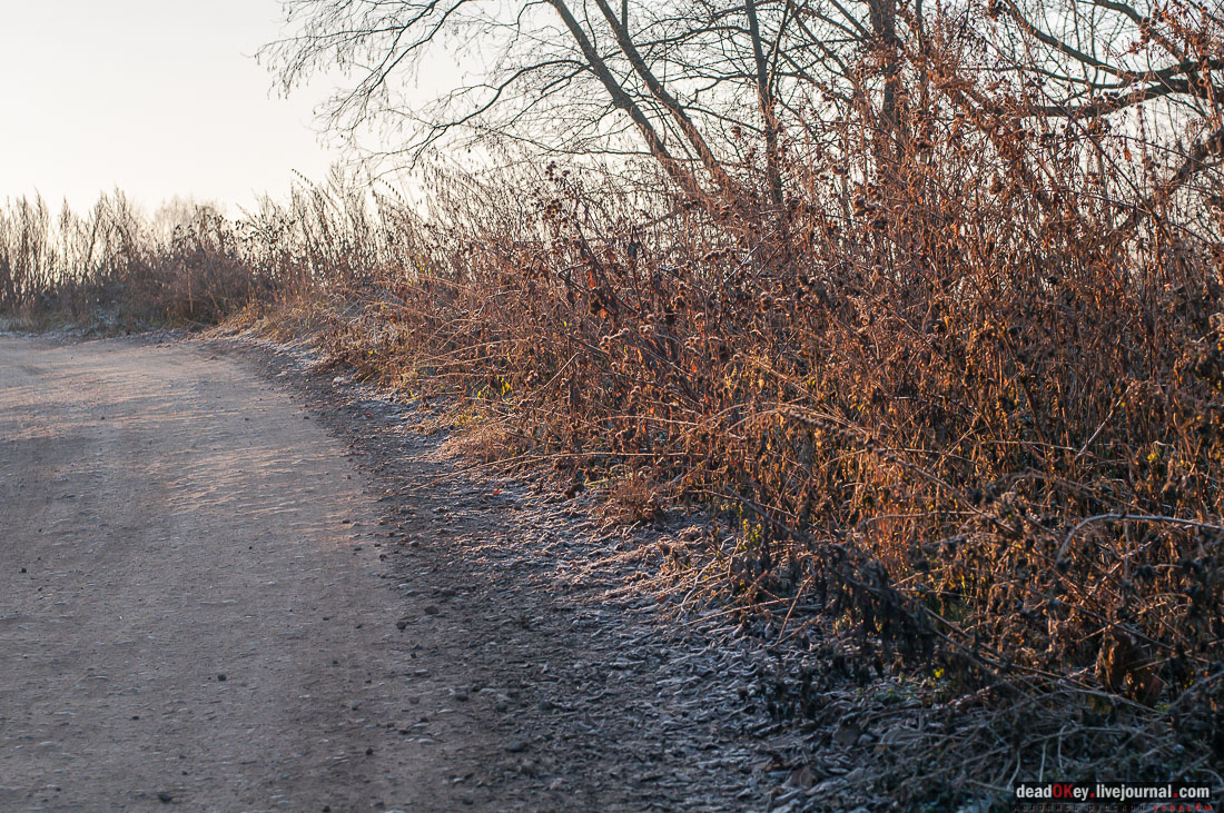 Усадьба Софрино