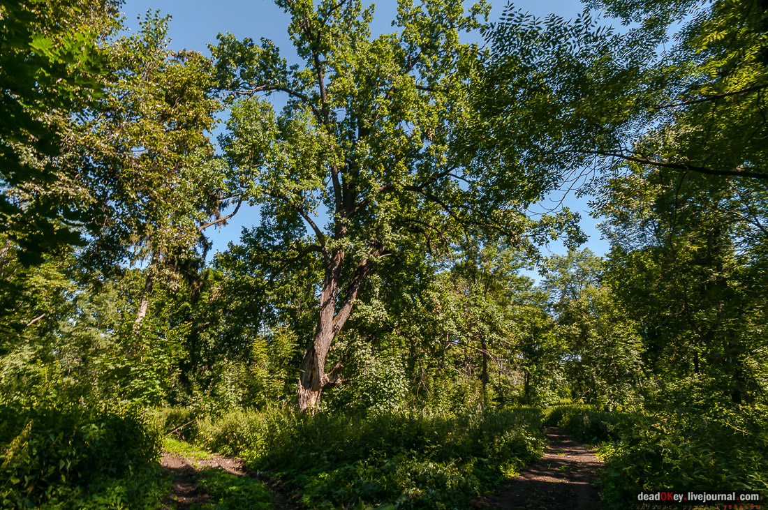 усадьба Новотомниково