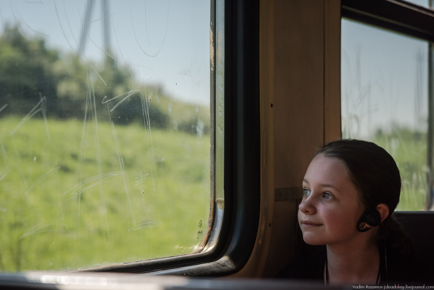 Экоэлектричка. Совиный фестиваль