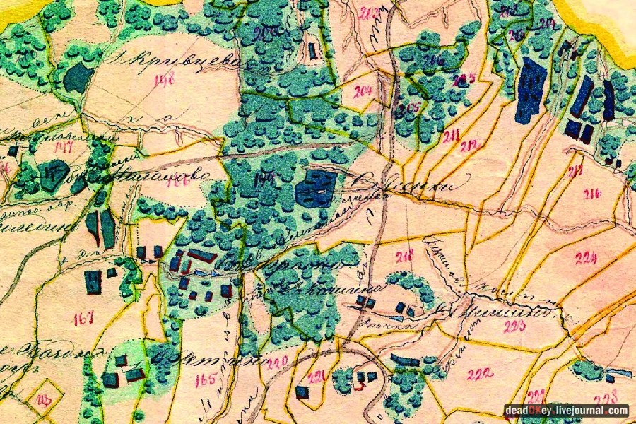 усадьба Ясная Поляна