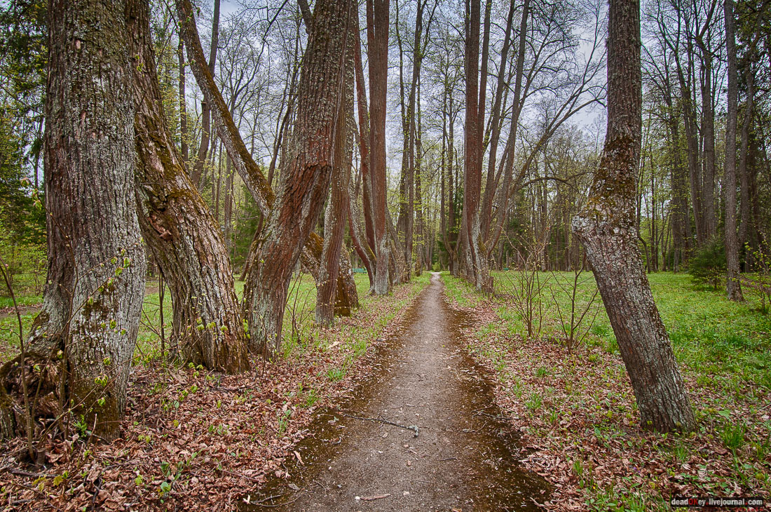 усадьба Михайловское