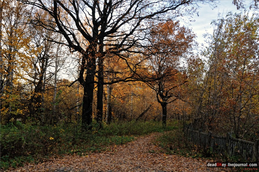 усадьба Кусково и Плющево