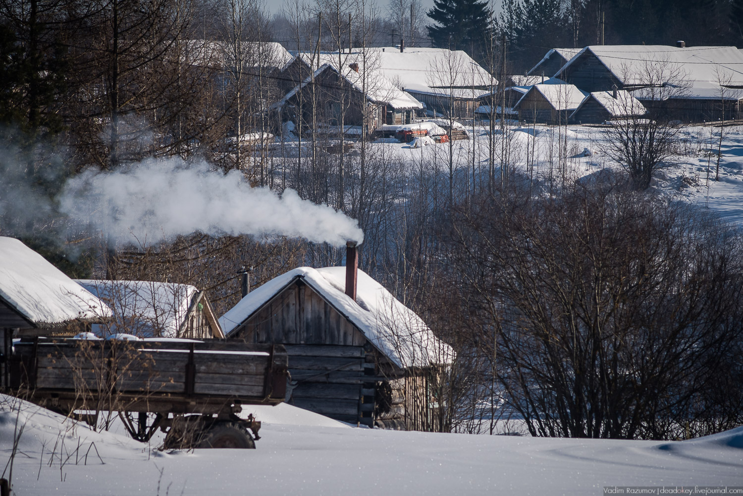 Русский север, экскурсия Усадебный экспресс, Архангельская область