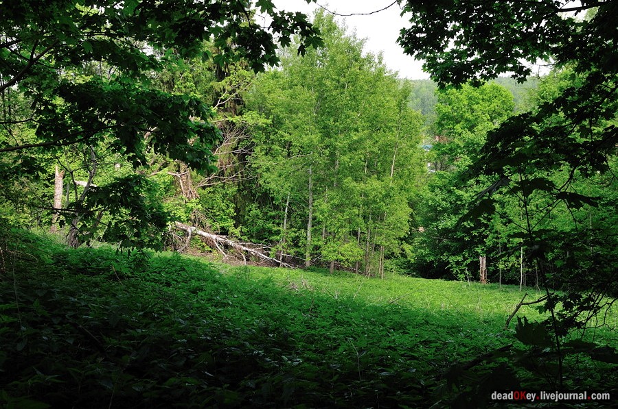 усадьба Ситники