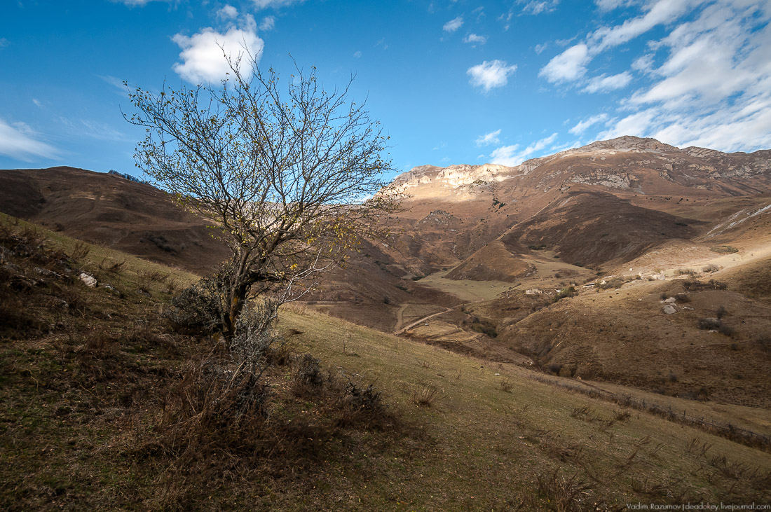 Башенный комплекс Фалхан, Ингушетия, Джейрахское ущелье.