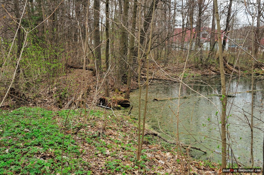 усадьба Антипино