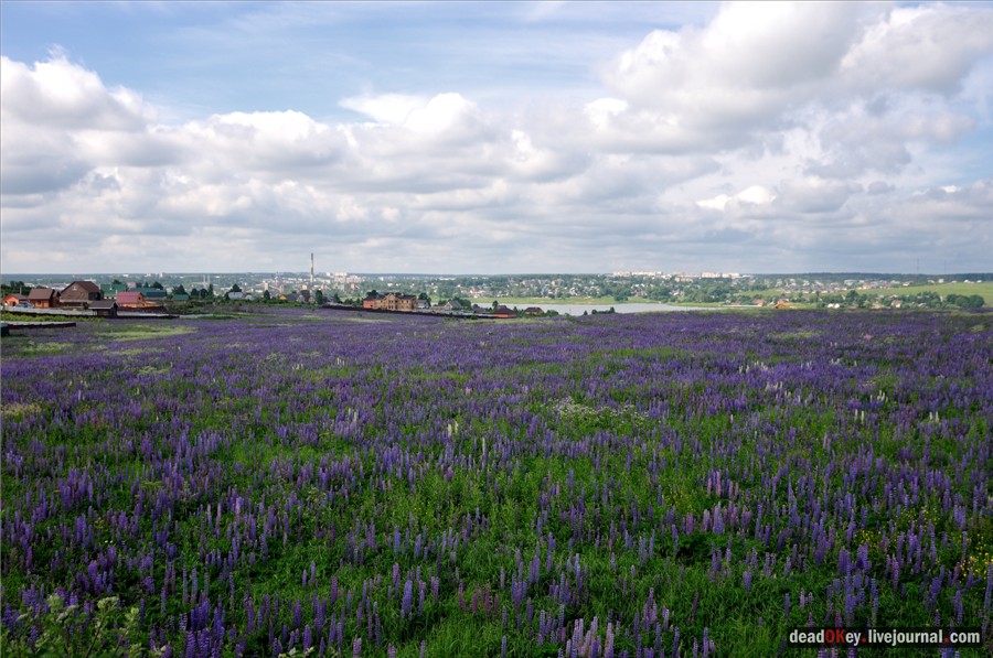 усадьба Ильинское
