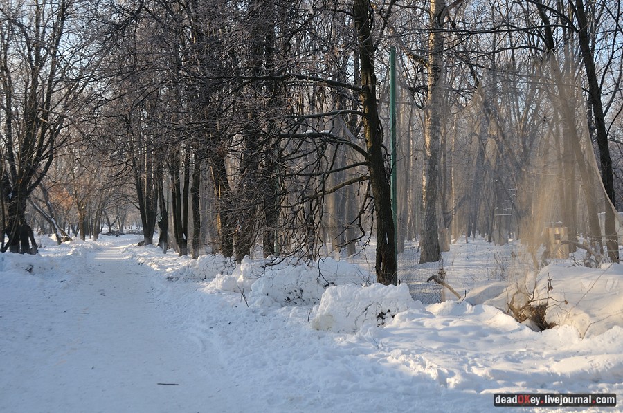 усадьба Люберцы