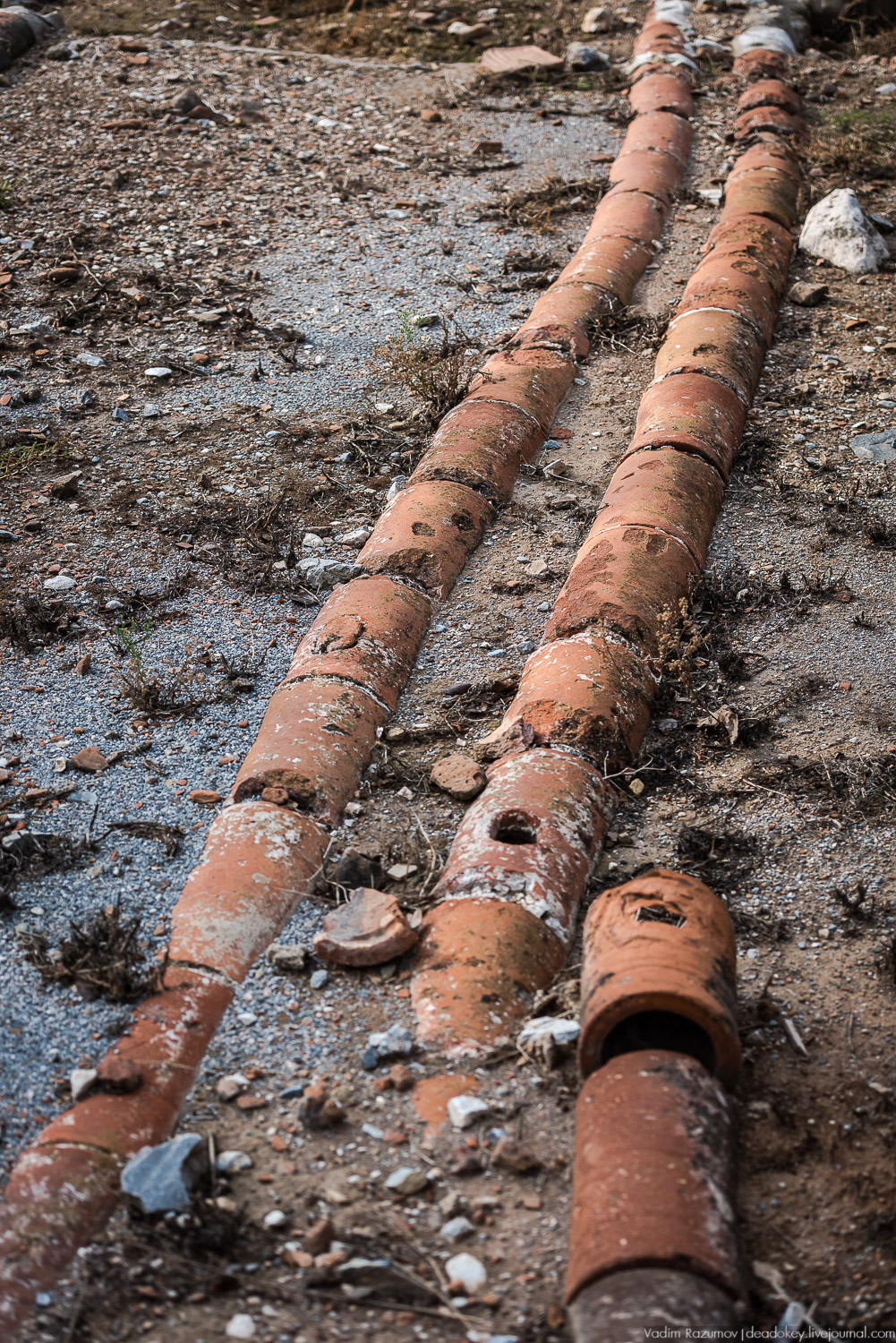 Эфес, античные руины, Турция