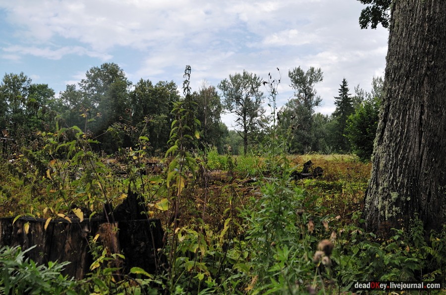 усадьба Верхоляне