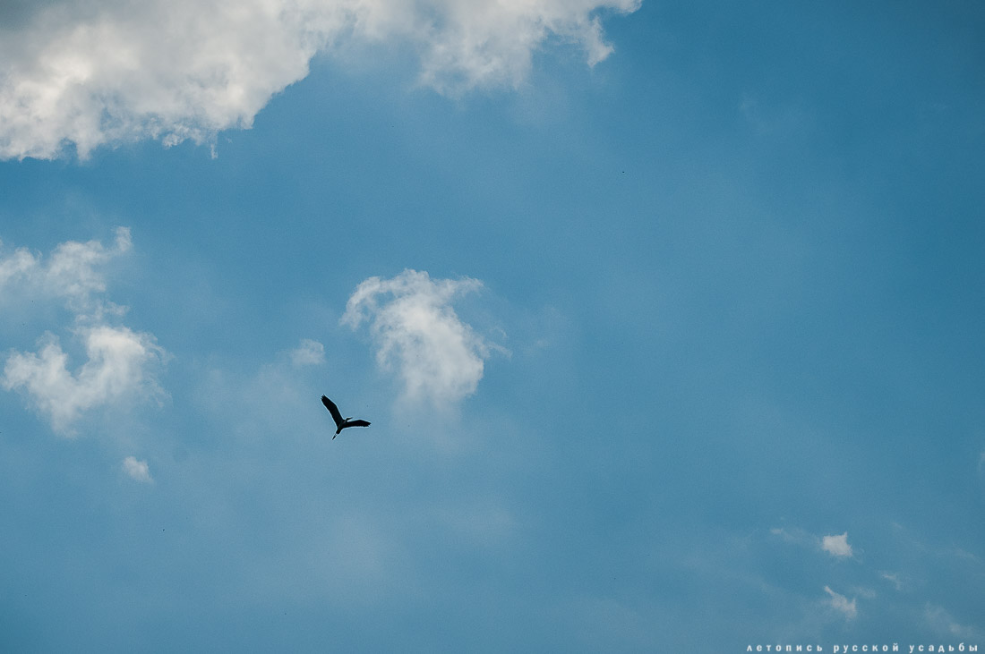 Сергиевское-на-Упе