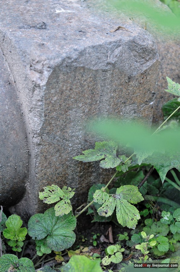 усадьба Хомяково