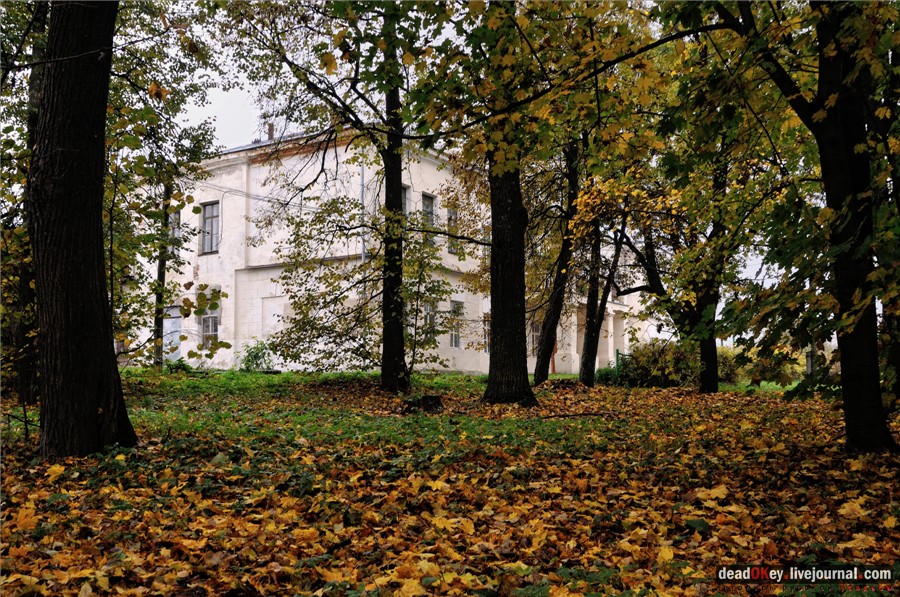 усадьба Сима