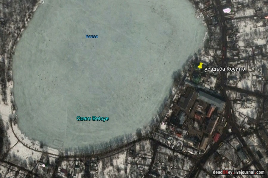 усадьба Косино