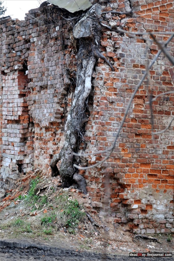 усадьба Кузьминки