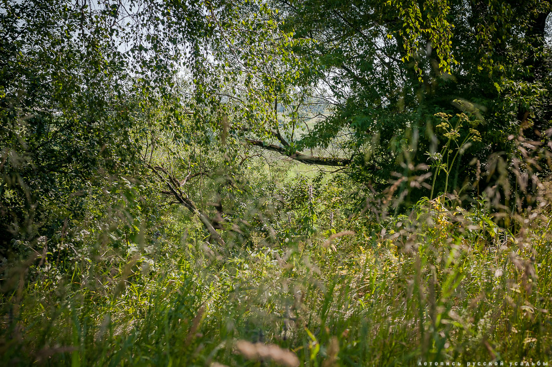 Сергиевское-на-Упе