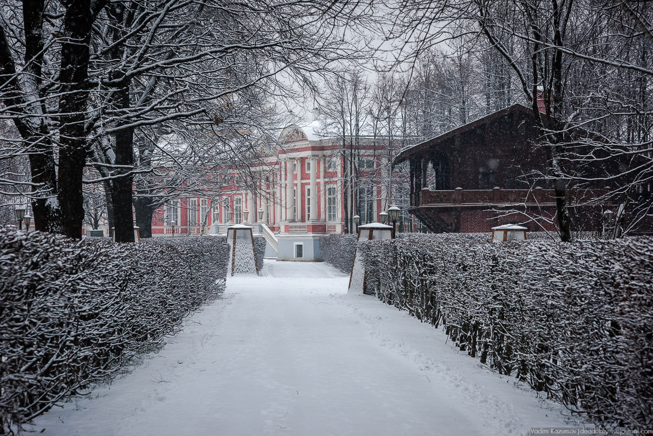 Усадьба Кусково зимой, 2018 год