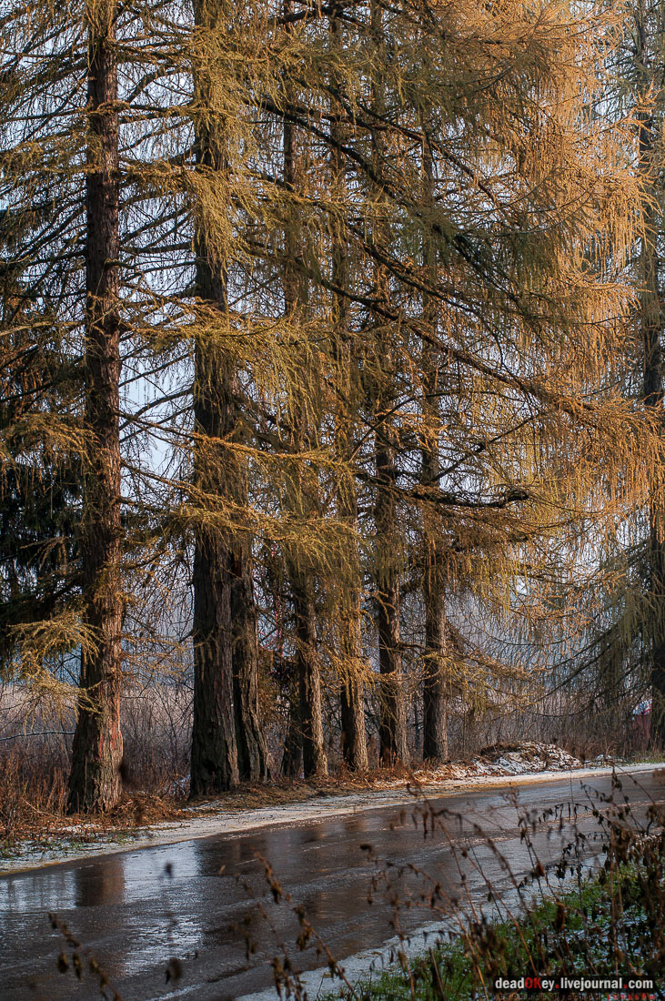 Усадьба Филатово