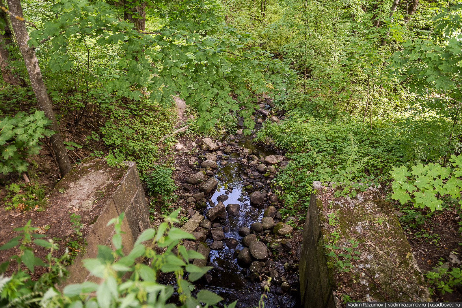 Усадьба Знаменка, Петергофская дорога
