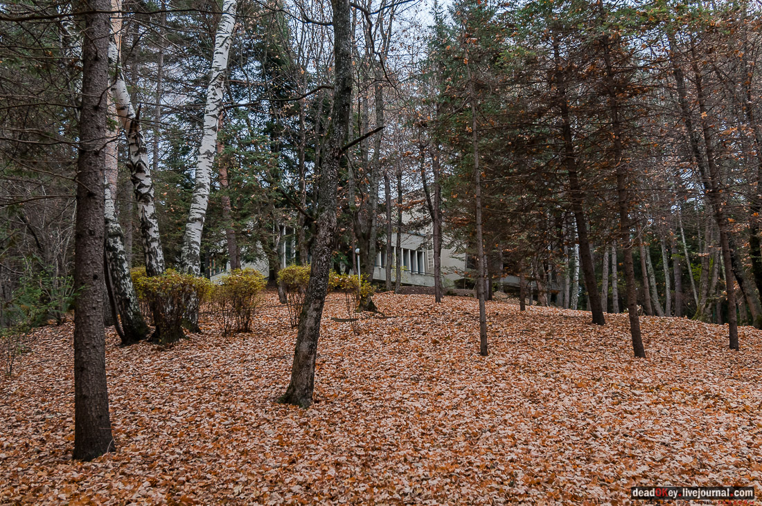 Кисловодский курортный парк, г. Кисловодск, верхний парк