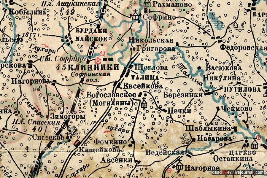 усадьба Богословское-Могильцы