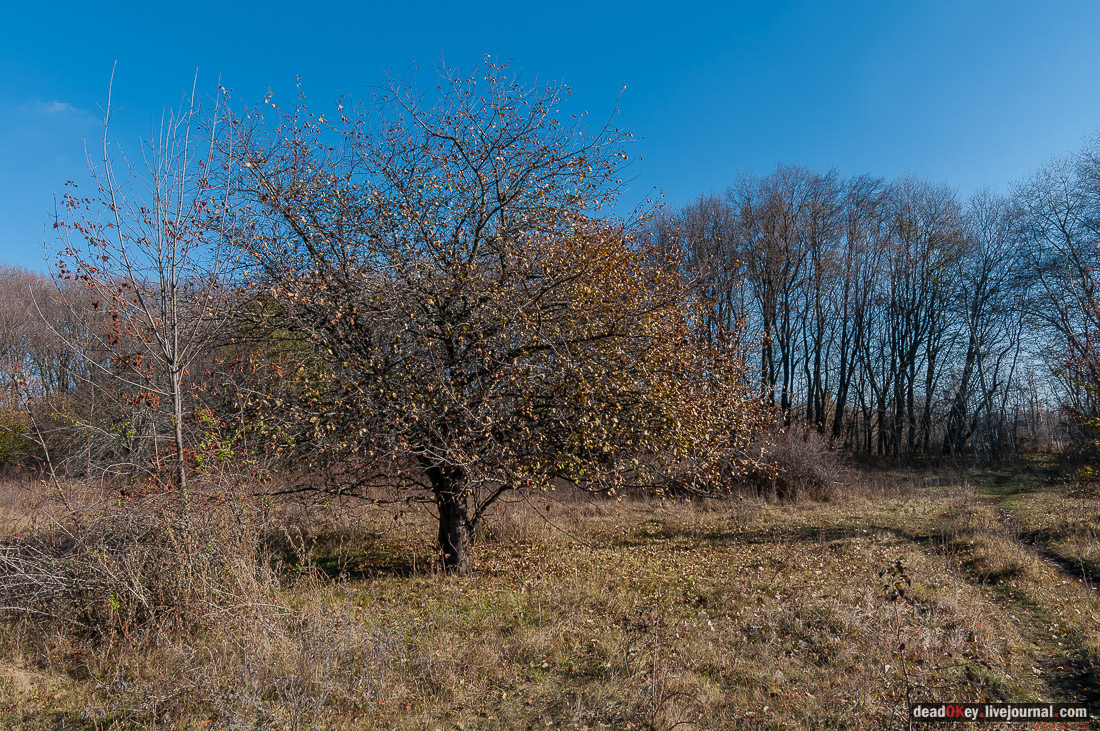 усадьба Полибино