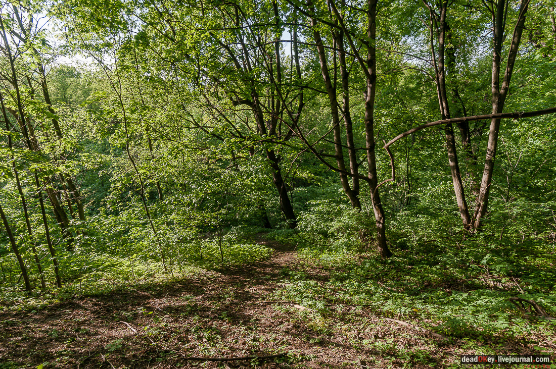 усадьба Кунцево