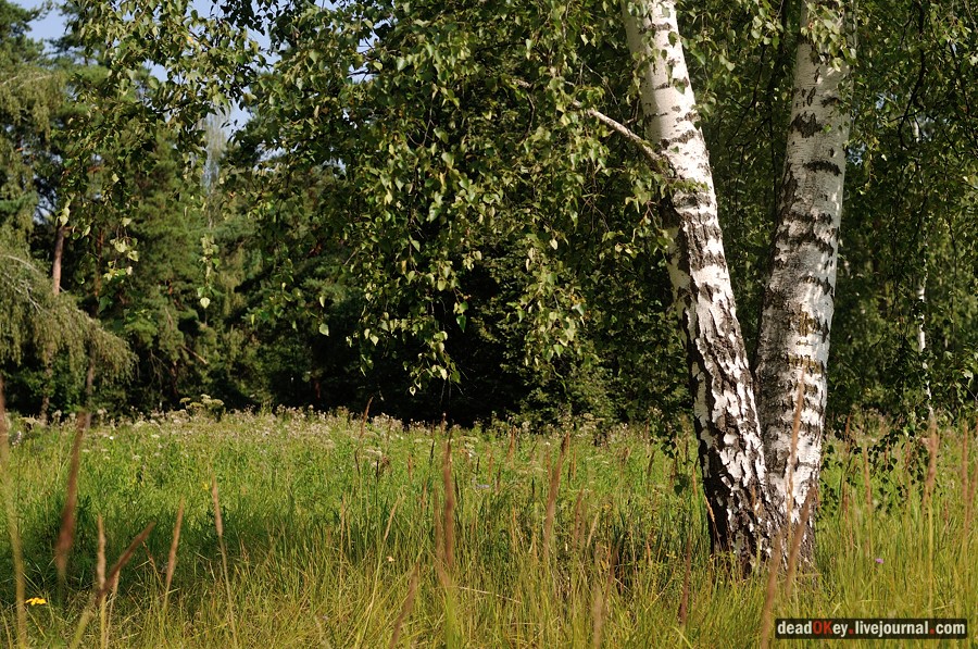 усадьба Пронино