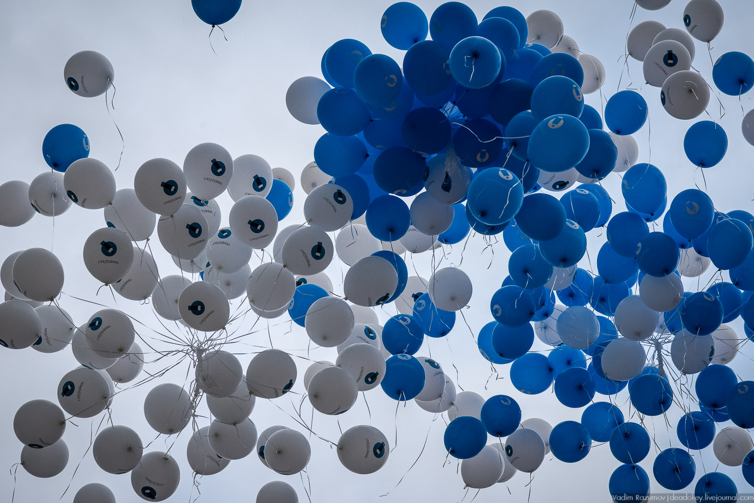 Нефорум 2018 Тюмень