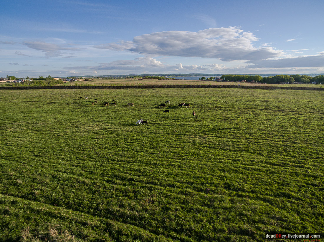 Переславль-Залесский, монастыри, виды с квадрокоптера
