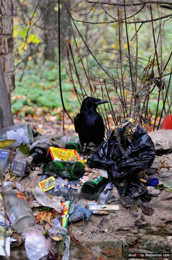 усадьба Сима