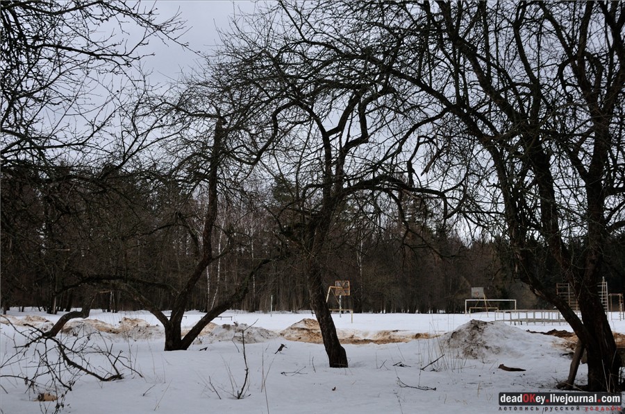 усадьба Воробьево