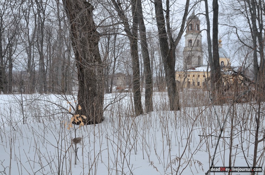 усадьба Троице-Лобаново