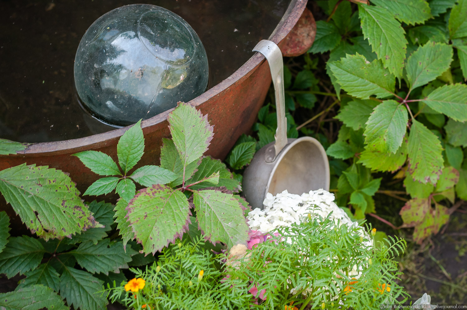 Таруса, дом-музей Паустовского