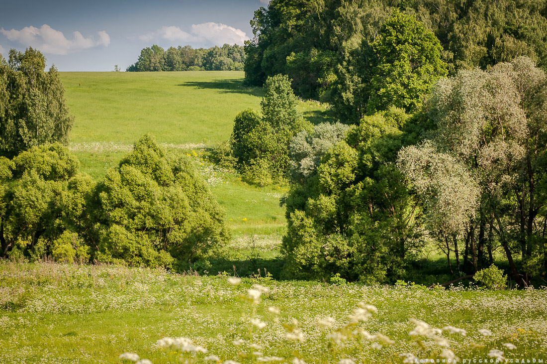 усадьба Чиркино